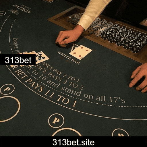 FAQ 313bet com perguntas frequentes em destaque.