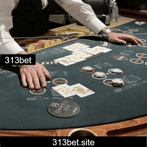 Análise Completa da 313bet: Principais Vantagens e Desvantagens